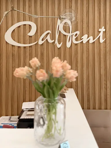 Caldent | Stomatolog Grudziądz, Flow injection, Protetyka, Bruksizm